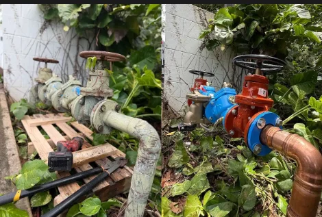 Plumber repairing sewer line in Oahu yard